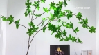 Masteri Thao Dien - 02 bedroom apartment for rent - An Khanh Ward - Ho Chi Minh City