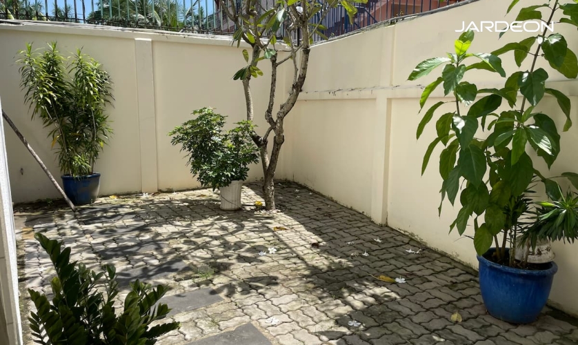 product/villa/v2306/1786025928059_1866846365392348478_5291184341505930168_7fdb2984d1f5b2bacc6ef3f51bcbb26a.jpg