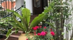 06 Bedrooms private pool house villa for rent at An Khanh-Ho Chi Minh