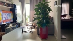 02 Bedrooms apartment for rent at Gateway-An Khanh-Ho Chi Minh